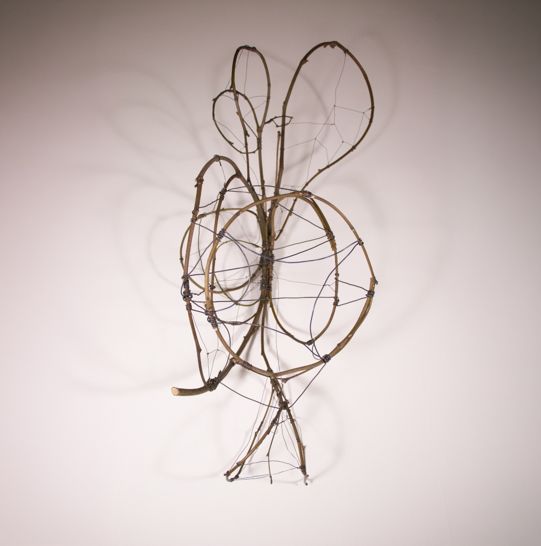 Studio image from Omer's practice — dallar 4