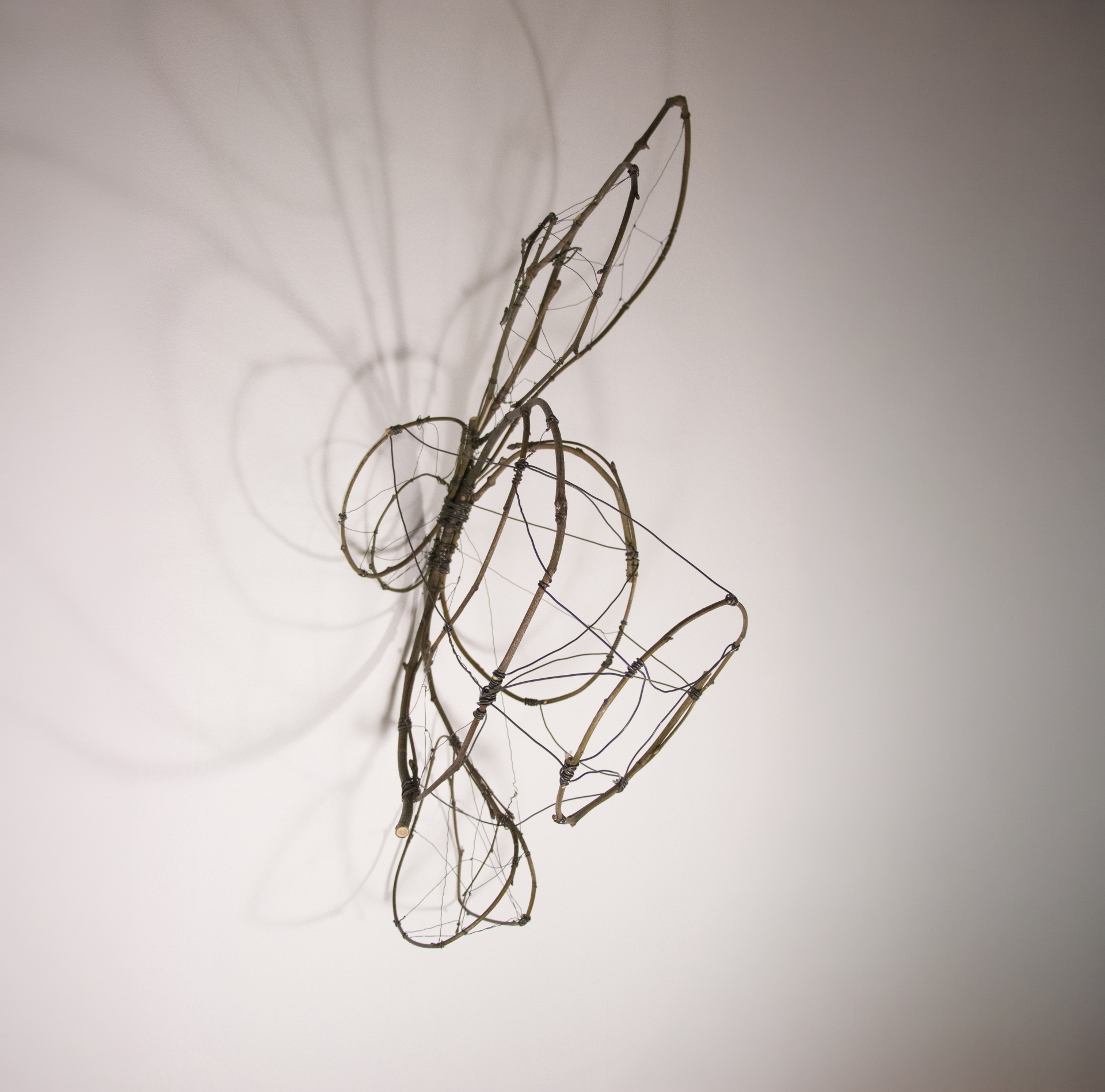 Studio image from Omer's practice — dallar 5