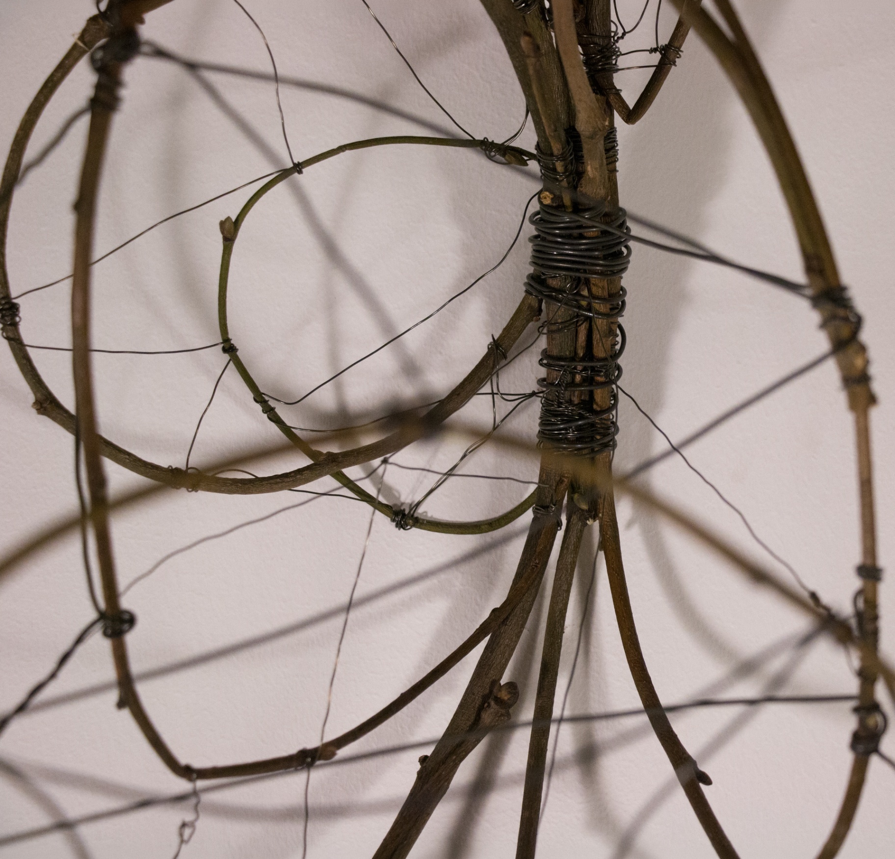 Studio image from Omer's practice — dallar 3